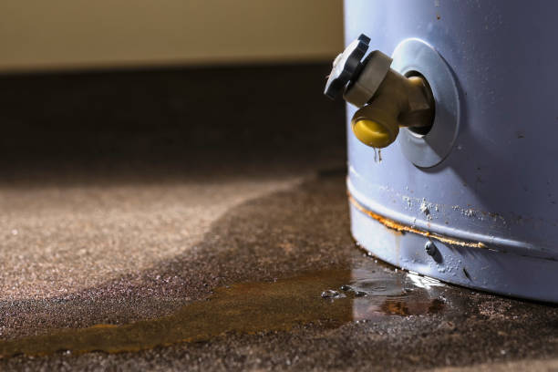Best Water damage restoration mold remediation  in Oceano, CA