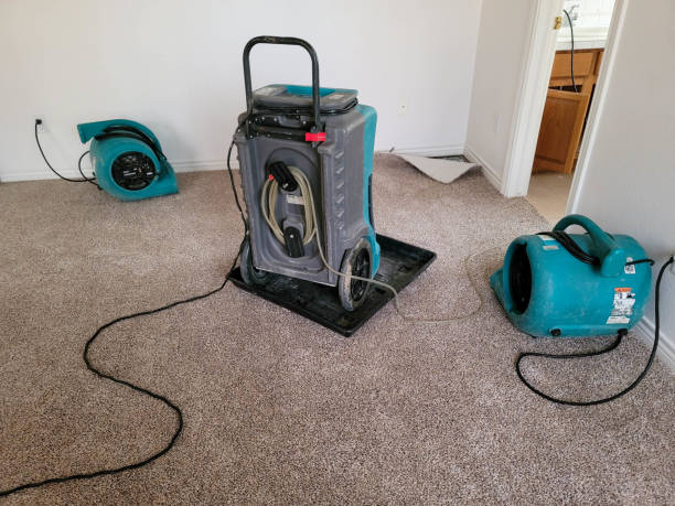 Best Residential water damage restoration  in Oceano, CA
