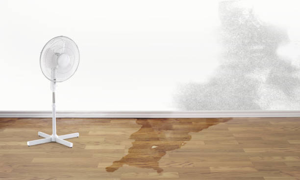 Best Basement water damage restoration  in Oceano, CA