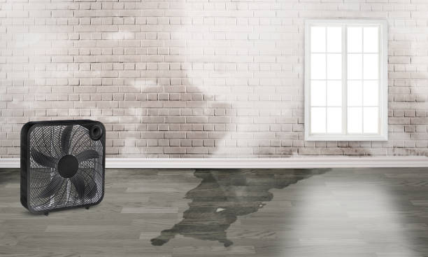 Best Commercial water damage restoration  in Oceano, CA