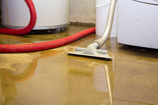 Best Water damage cleanup near me  in Oceano, CA