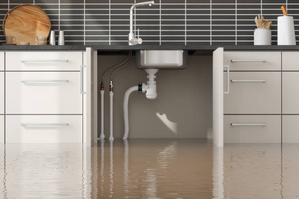 Best Local water damage restoration  in Oceano, CA